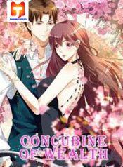 Concubine Of Wealth 1