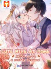 Cute Wife at Home- Never Marry a Crafty Husband 1