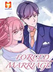 Forced Marriage, Stubborn Wife 1