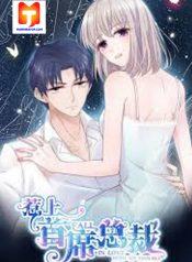 Trouble with the President- Return of the Princess 1