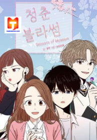 Seasons of Blossom 1