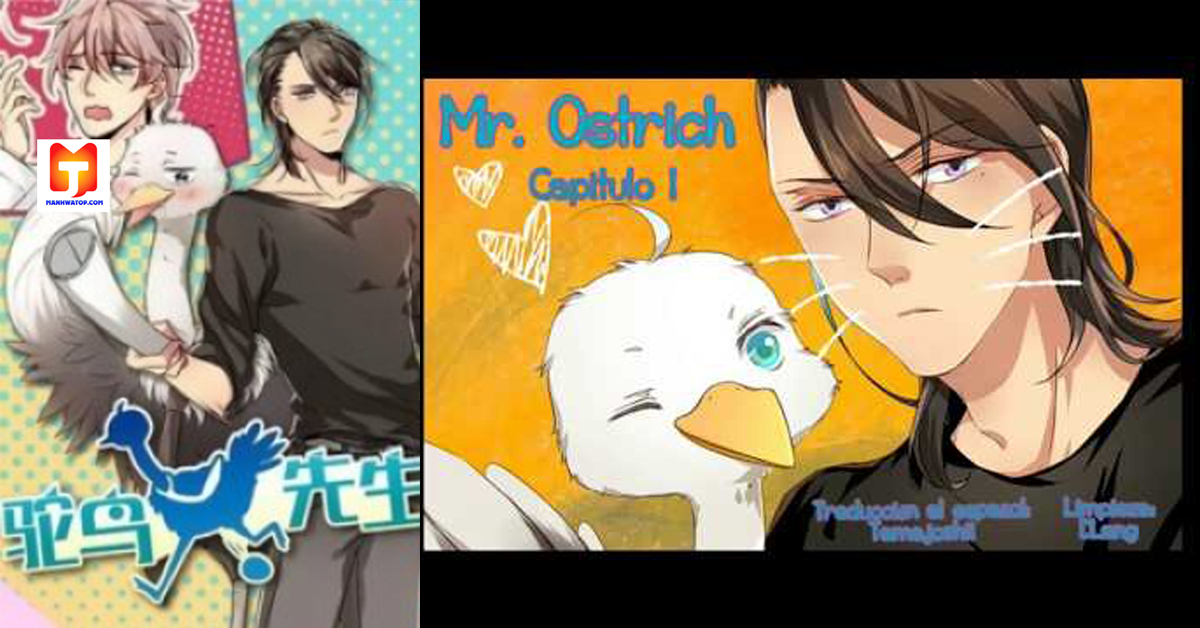 Mr. Ostrich 2
