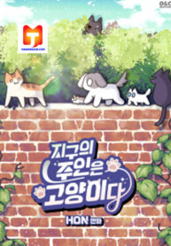 Cats Own The World 1