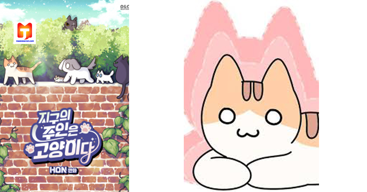 Cats Own The World 2