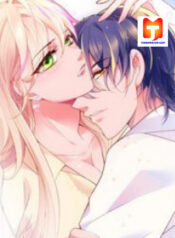 Secret Marriage of greatest actor, My wife, please attack me! 1