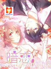 Secret love and secret marriage 1