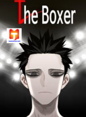 The Boxer 1