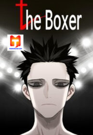 The Boxer 1