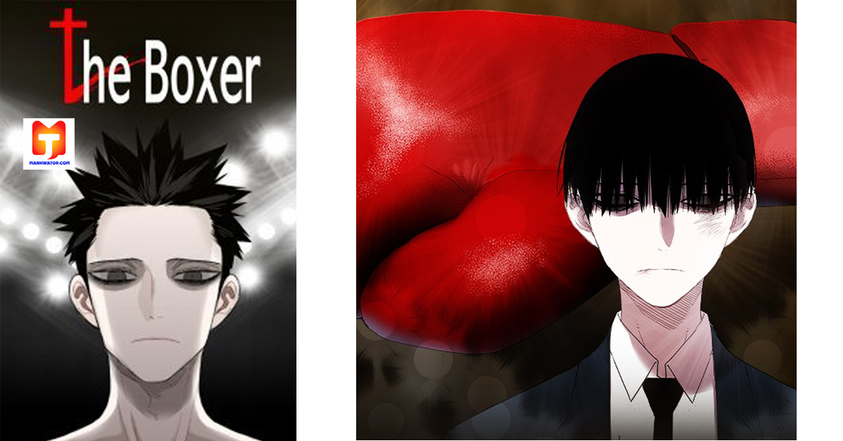 The Boxer 2