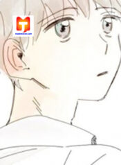 The Eyes of Sora 1