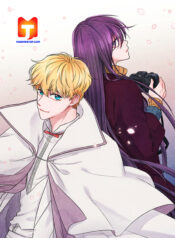 The Knight of the Falling Star 1