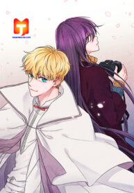 The Knight of the Falling Star 1