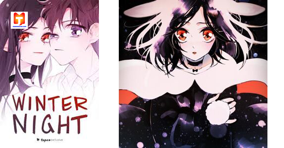 Winter Night 2