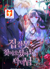You’ve Got The Wrong House, Villain (Novel) 1