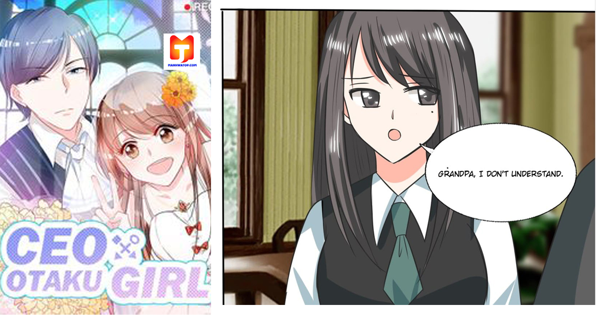 CEO x Otaku Girl scan 2