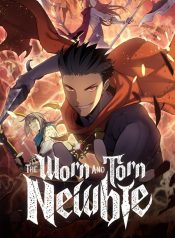 The Worn and Torn Newbie cover
