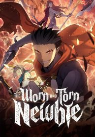 The Worn and Torn Newbie cover