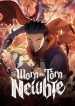 The Worn and Torn Newbie cover