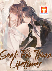 Seek For Three Lifetimes scan 1