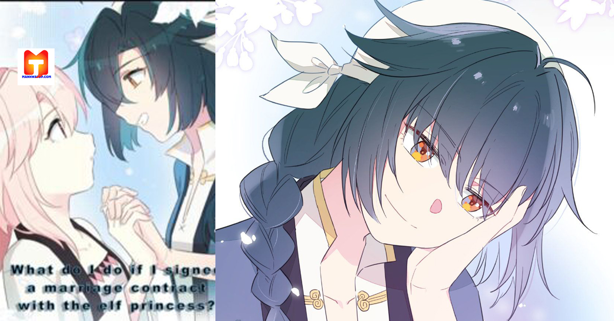 What Do I do if I signed a marriage contract with the elf princess- scan 2