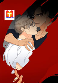 Blood Link scan 1