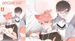 A cat's world scan 2