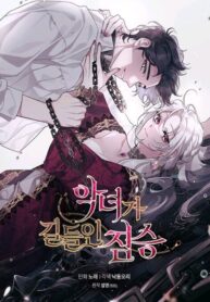 A Beast Tamed by the Villainess cover