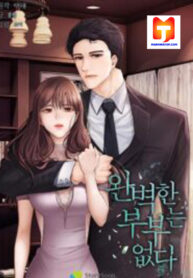 There Is No Perfect Married Couple scan 1