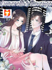 Cinderella’s Revenge scan