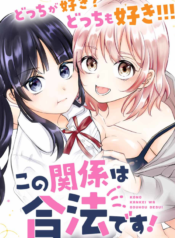 Kono Kankei Wa Gouhou Desu!