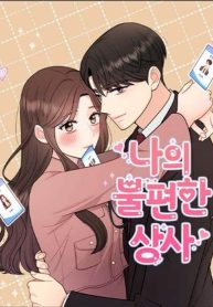 My annoying boss cover