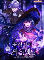 The Duke’s Dark Lady cover