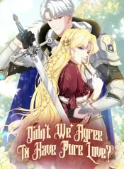 Didn’t We Agree To Have Pure Love cover