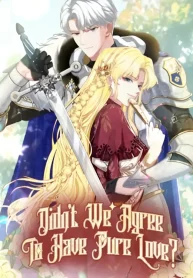 Didn’t We Agree To Have Pure Love cover