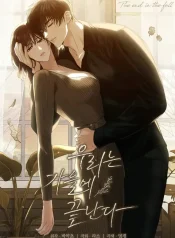 The End in the Fall cover