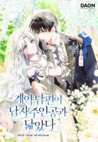 My Contract Husband Resembles the Male Protagonist cover