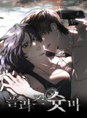 Please Shoot Me cover