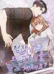 Team Leader, Why Are You Carrying a Whale cover
