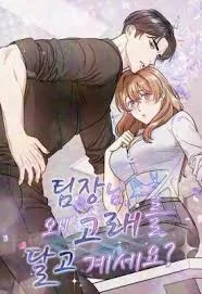Team Leader, Why Are You Carrying a Whale cover