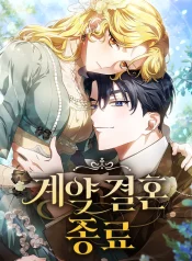 The End of a Fake Marriage cover