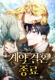 The End of a Fake Marriage cover