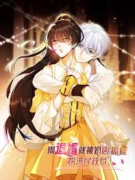 The Fox Man’s Obsession cover