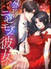 The President’s Fake Girlfriend cover