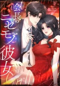 The President’s Fake Girlfriend cover