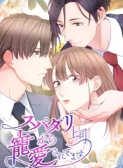 My Boss, the Ideal Man, Dotes on Me cover