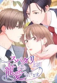 My Boss, the Ideal Man, Dotes on Me cover
