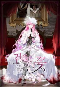 The Flower Who Bears The Sword cover