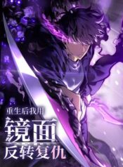 After Rebirth, I Used Mirror Reversal For Vengeance cover