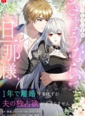 I Wanted a Divorce, But My Husband Became Obsessed With Me cover