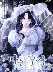 Marquis of Marron cover